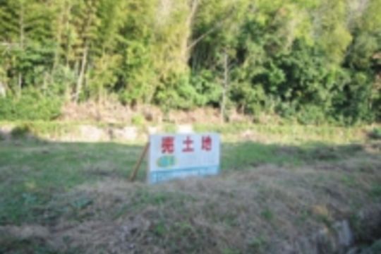 売地
