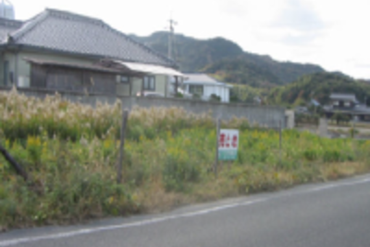 売地
