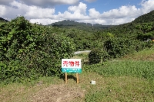 売地