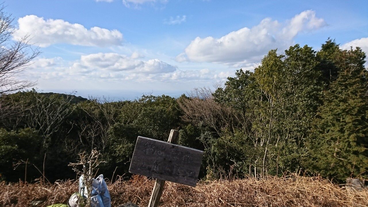森